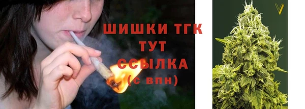 тгк Бронницы