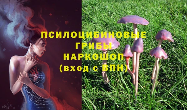 таблы Бородино