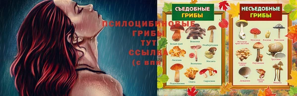 таблы Бородино