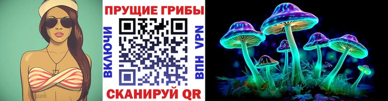 Галлюциногенные грибы GOLDEN TEACHER  hydra ССЫЛКА  Владикавказ 
